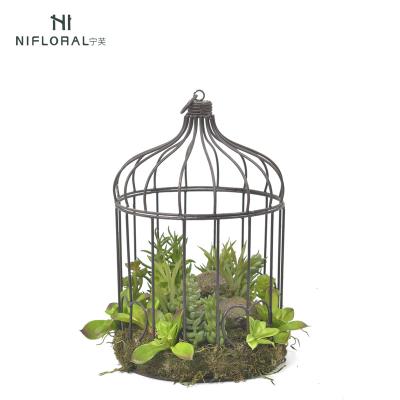 China Art Decor Hanging Plants Artificial Succulent Plants With Real Moss In A Cage for sale