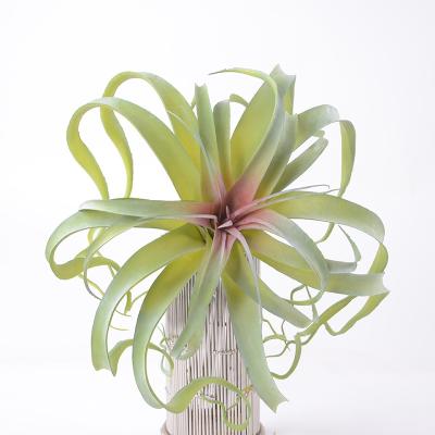 China Art Decor Wholesale Office and Home Decorative Artificial Plant 30cm Air Plants for House Decoration for sale