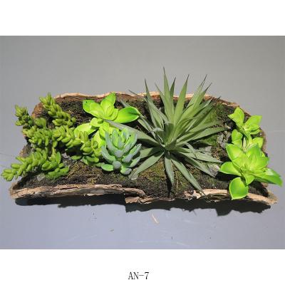 China Various Kind Of Real Touch Artificial Succulents Layout Decoration Artificial Echeveria Indoor Succulent Plants Set for sale