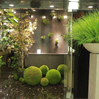 China Art Decor Golden Supplier Hot Selling Artificial Moss Balls Sizes of 10/15/20/25/30/35/40/50/60cm for Home Decor for sale