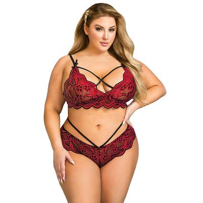 China QUICK DRY Europe and the United States plus size lingerie sexy lace cross belt embroidered decorative sexy bra set for sale