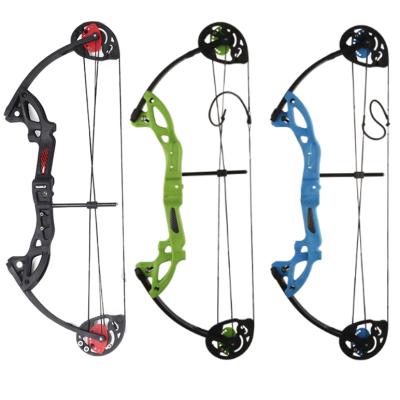 China Right Hand Compound Bow Camouflage Compound Bow Youth Cs 18-29lb Cs 18-29lb Blue Game Youth Shooting Gift for sale