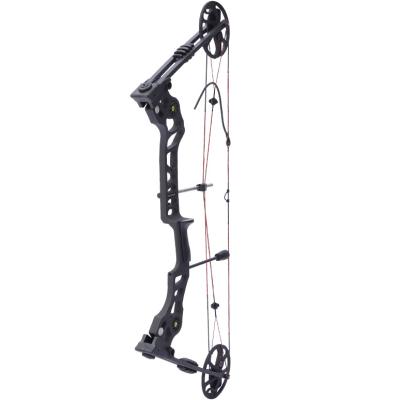 China Hunting Archery Compound Bow 35-70lbs Archery Compound Bow Outdoor Hunting Equipment for sale