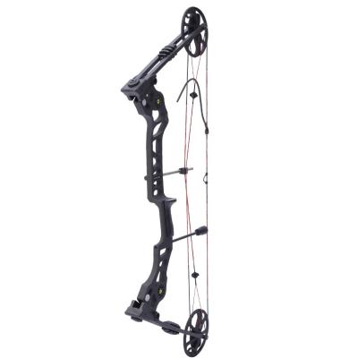 China Hunting Chinese Archery Compound Bow 35-70lbs Compound Bow Outdoor Hunting And Archery Equipment for sale