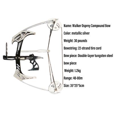 China SHOOTING Archery Hunting New Design Aluminum Alloy Mini Compound Bow Mini Fishing Bow For Competition for sale