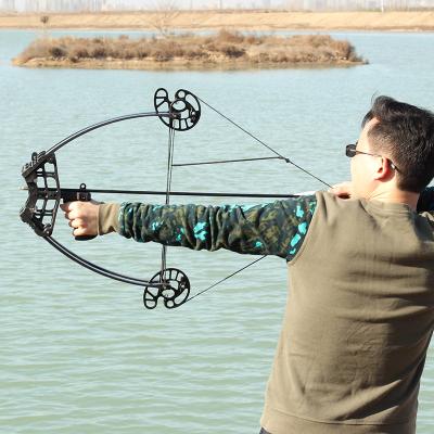 China SHOOTING 50 Pounds Mini Compound Mini Bow For Fishing Left And Right Hand Use Adult for sale