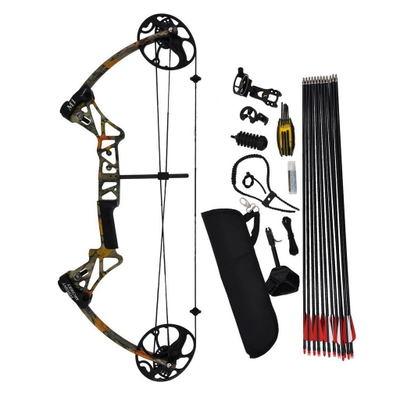 China Factory whosale 19-70Ibs Adjustable Archery TIR Compound Recurve Bow Straight Drawing Bow With Pulley Hunting Bow for sale