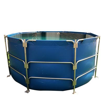 China Hotels Customized Strong PVC Aquarium Aquaculture for sale