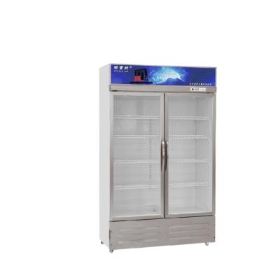 China Single-temperature Artisan Brand Upright Refrigerator Compressor Showcase Bottom Refrigerators Drink Freezer Fridge for sale