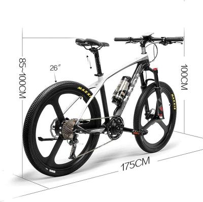 China Electric bicycle hot sale e bike new model aluminum alloy new model electric bicycle enduro electric bicycle for sale