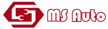 Shenzhen MS Auto Technology Limited