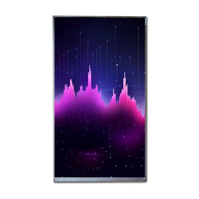 China Resolution 800*1280 IVO LCD Panel IPS Screen 350 Nits 1000 Contrast Ratio for sale