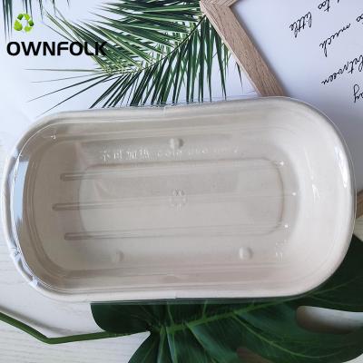 China Environmental Protection One Time Biodegradable Take Away Lunch Packing Boxes Lunch Boxes Bento for sale