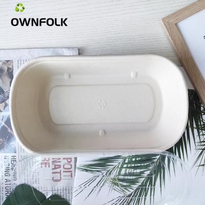 China OEM Biodegradable Wholesale Plastic Lunch Can Be Lunch Microwave Heated Prep Box Bento Disposable Food Container for sale