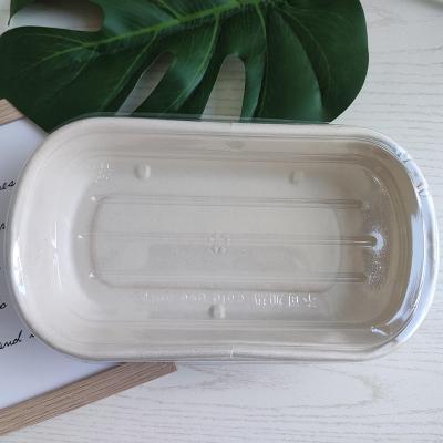 China OEM Custom Biodegradable Plastic Disposable Lunch Box Environmentally Friendly Degradable Food Container for sale