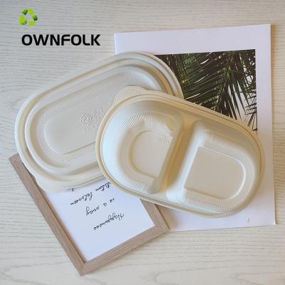 China OEM Square Food Bowl Biodegradable Biodegradable Environmental Friendly Disposable Lunch Box With Lid Plastic Takeout Box for sale