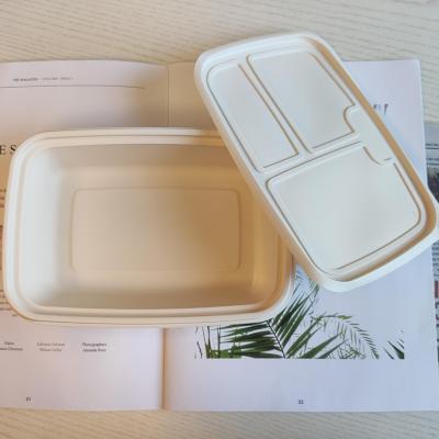 China Sugar Cane Biodegradable Biodegradable Disposablefood Plastic Heat Takeout Food Bowl for sale