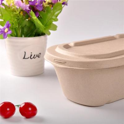 China Sustainable Wheat Straw Disposable Takeaway Lunch Box Eco-friendly Food Containers for sale