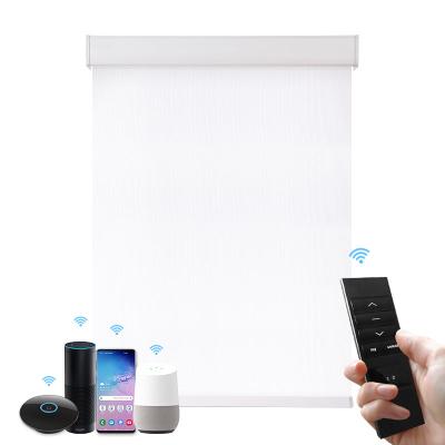 China Environmentally Friendly Breathable Custom Electric Roller Shades Safety Cloth Auto Fabric Blinds Shades With Remote Control for sale