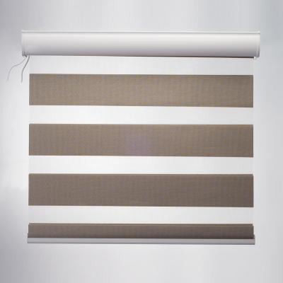 China Environmentally Friendly High Quality Motorized Double Layer Electric Zebra Window Pure Roller Blinds for sale