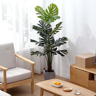 China Cheap Decoration Monstera Environmental Protection Plastic Price Factory for sale