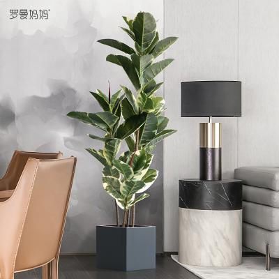 China Environmental Protection Beautiful Artificial Rubber Tree Elastica Artificial Ficus For Home Decoration for sale