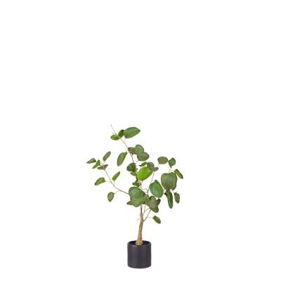 China Artificial Bonsai Artificial Tree Environmental Protection Plant Pocket Money Tree For Home Decoration for sale