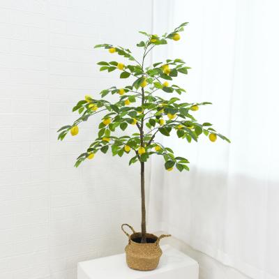 China Environmental Protection Goods And Decoration High Quality Eco-friendly Plastic Artificial Artificial Fruit Lemon Tree Trunk Potted Plant for sale