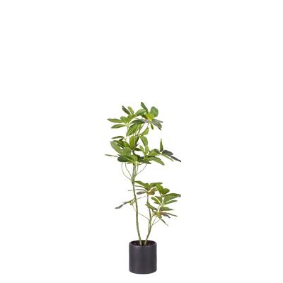 China Environmental Protection Artificial Plant Faux Tree For Indoor Outdoor Modern Decoration for sale