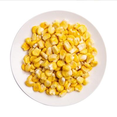 China Low Carb popcorn kernel Wholesale Cheap 100% Natural Packaging Food Grade Bucket Bagged Corn Kernels Yellow Sweet Popcorn For Sale for sale