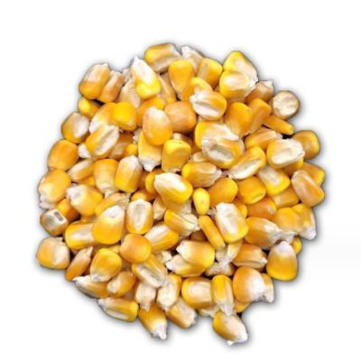 China Low Carb AD 2,230 g Canned Whole Kernel Sweet Corn Fresh Corn Production of Fresh Yellow Corn for sale