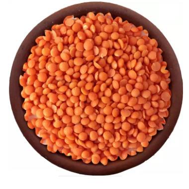 China Low Carb red lentil for Europe for sale