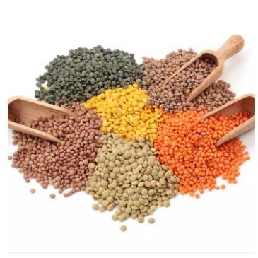 China Low Carb GOOD GREEN LENTILS / RED LENTILS / YELLOW LENTILS FROM CHINA for sale