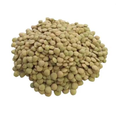 China Low Carb GOOD GREEN LENTILS / RED LENTILS / YELLOW LENTILS for sale