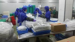 Verified China supplier - Dandong Galicia Seafood Co., Ltd.