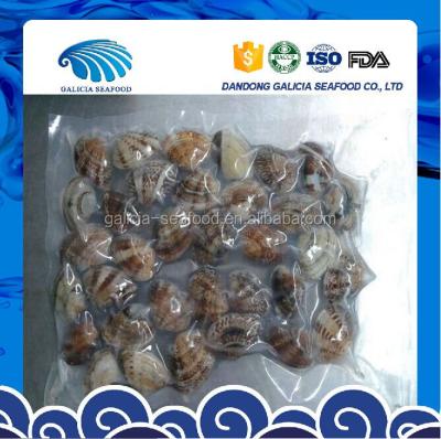 China Nature's Clam China Origin Cooked Frozen Baby for sale