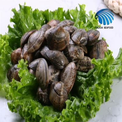 China Frozen Cooked/Boiled Shortneck Clam with Export Standard for sale