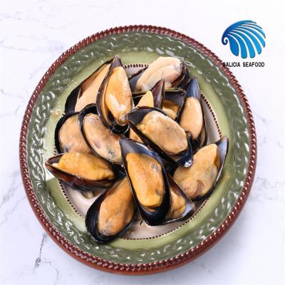 China Hot Selling Frozen Cooked Cooked Mussels With Whole Shell for sale