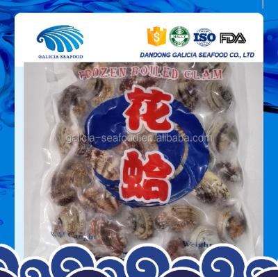 China Clam No Sand No Shell Frozen Cooked Shortneck Chunks for sale