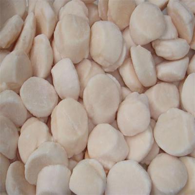 China Cheap FROZEN Berry Scallop Frozen Adductors with Better Services for sale