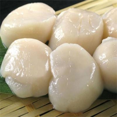 China FROZEN Frozen Comb Pen Shell Scallop Adductors With Delicious Taste for sale