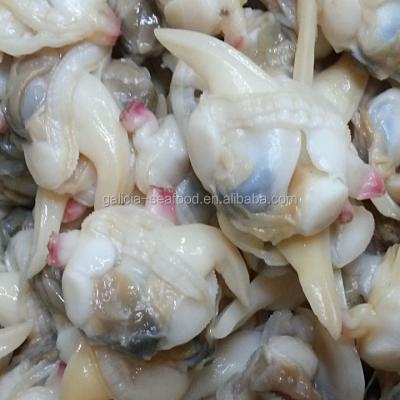 China Clam Meat No Sand Yolk Boiled Frozen FROZEN for sale