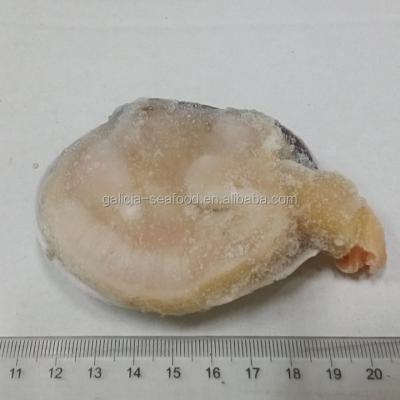 China HALF-SHELL RAW FROZEN Washington Clam Purple for sale