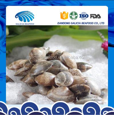 China FROZEN frozen cooked small neck clam in vacuum packing for sale