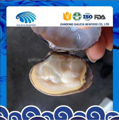 China Vacuum Packed Boiled Natural Juice Cooked Baby Clams for sale