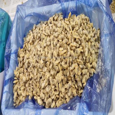 China Cheap Frozen Frozen Baby Clam Meat With Service From Reliable Factory for sale