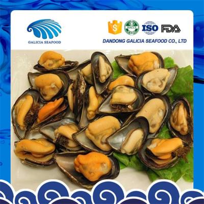 China Half shell of frozen mussel meat iqf from a best producer for sale