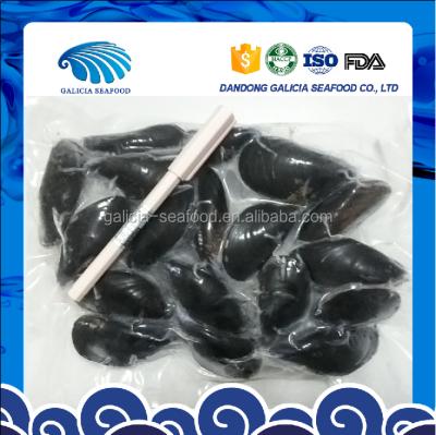 China Cooked HACCP Certificated Frozen Boiled Mussels In Full Shells for sale