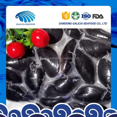 China Frozen whole cooked mussels stuffed with cooked v for sale