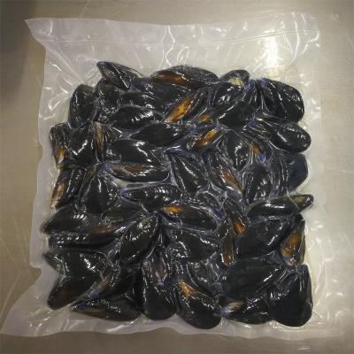 China Full-SHELL Cooked Frozen Blue Mussels for sale